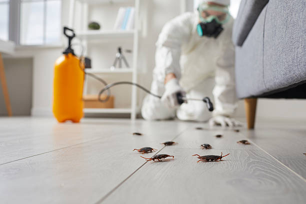 Trusted Cockroach Control service in Gloucester City, NJ - Nex Pest Control